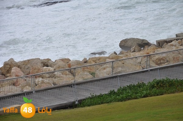 yaffa rain 1211 (47).JPG